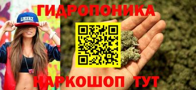 соль ск Гусев