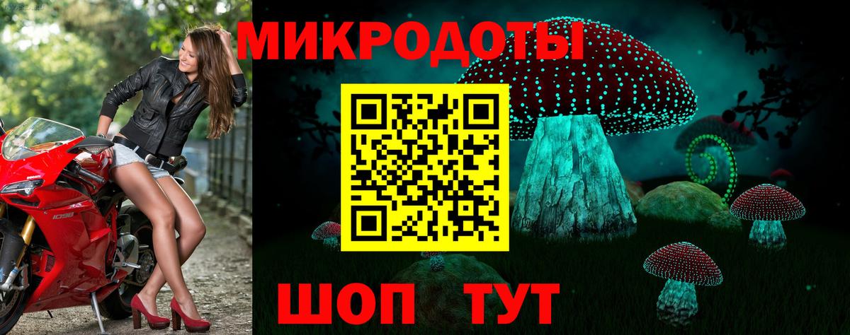Псилоцибиновые грибы Psilocybine cubensis Моздок