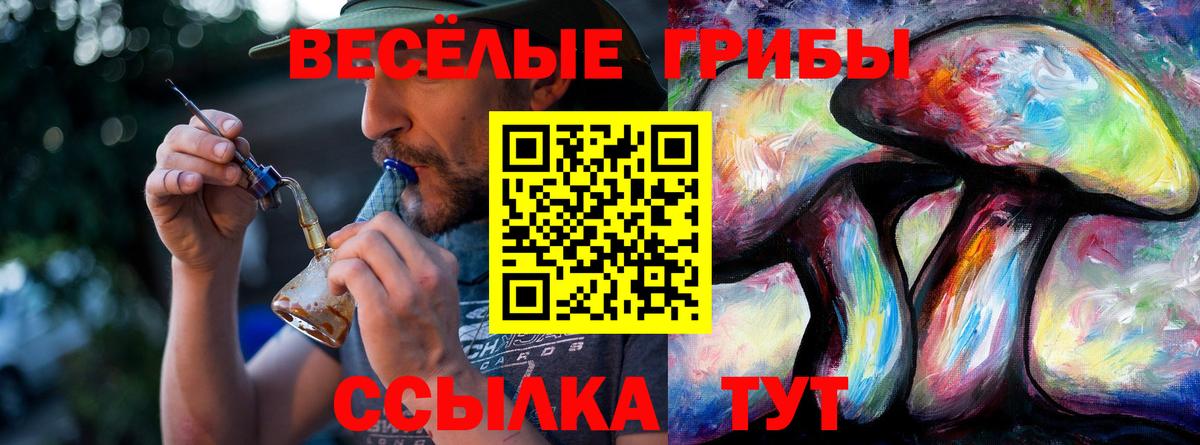 Моздок  Псилоцибиновые грибы Cubensis  Вход с VPN 